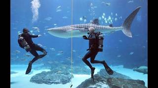 Uncharted Episode #1: Deep Dive into Conservation
