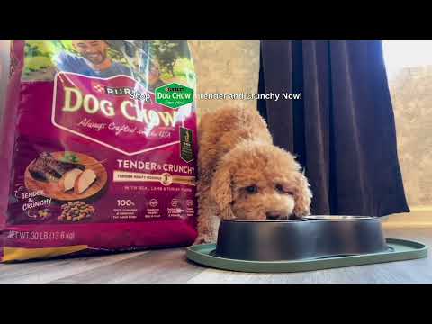 Dog Chow Tender and Crunchy