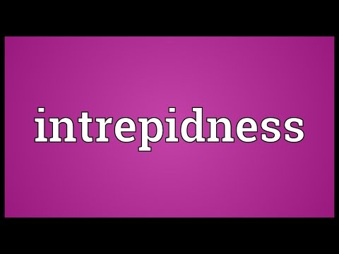 Intrepidness Meaning
