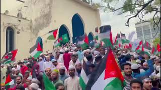 Free Free Falestine/short video