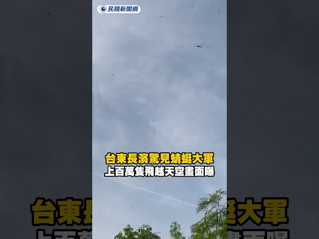 台東長濱驚見蜻蜓大軍　上百萬隻飛越天空畫面曝｜民視新聞｜