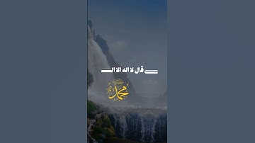 القرآن الكريم تلاوة خاشعة #السعودية #اكسبلور #duet