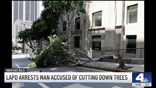 Man accused of using chainsaw to chop down downtown LA trees