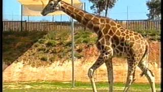 Land Grant Win & Abc Tv 2005