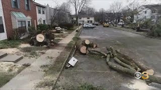 Celebrity Cleanup underway after EF2 tornado touches down in Mercer County, N.J. Profile