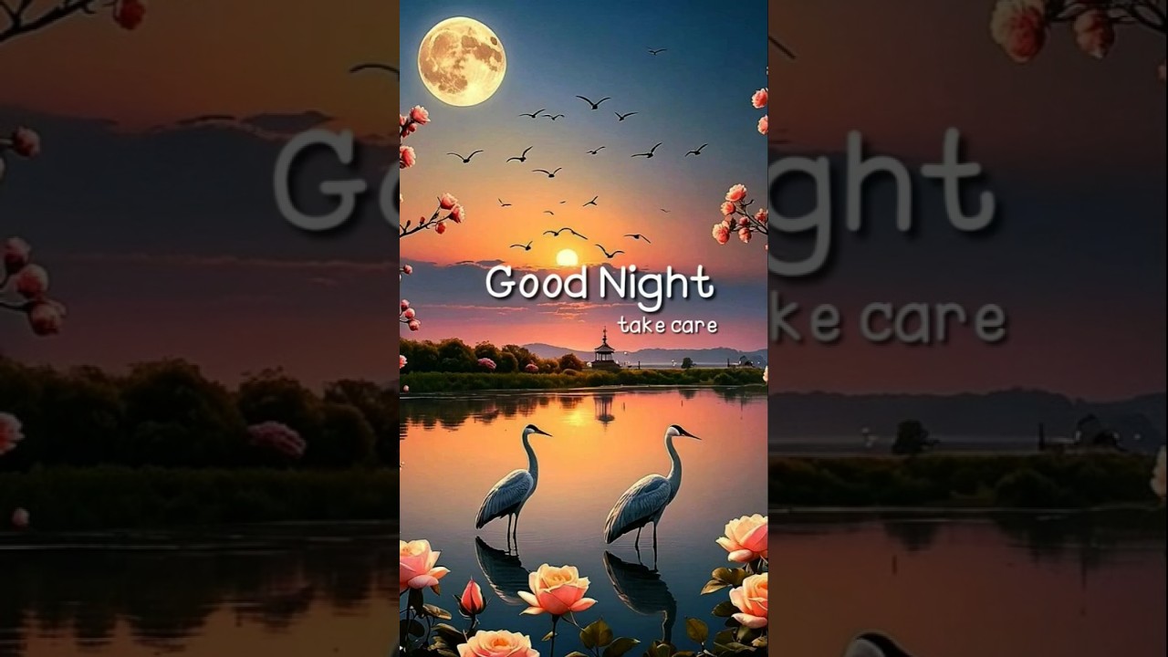 Sleep with a Smile 😊 | Good Night Beautiful Souls 