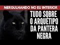 Tudo sobre o arqutipo da pantera negra  william nascimentto