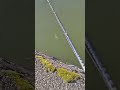 【deps】スライドスイマー115動き。【バス釣り】