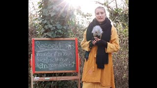 Mitbestimmung in der Schule? Respekt, Hierarchien, Lösungsansätze - Demokratische Schule Frankfurt