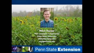 Optimizing Cover Crop Seed Mixtures for Soil Health and Nutrient Retention