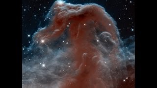 Horse of a Different Color: Hubble's Universe Unfiltered