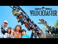 Los Polo en el Velocicoaster de Jurassic World!!