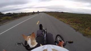 Sunday Morning - 2016 - Triking with the Kids by Recumbent Trike Adventures & My Dog Noah 816 views 8 years ago 7 minutes, 35 seconds