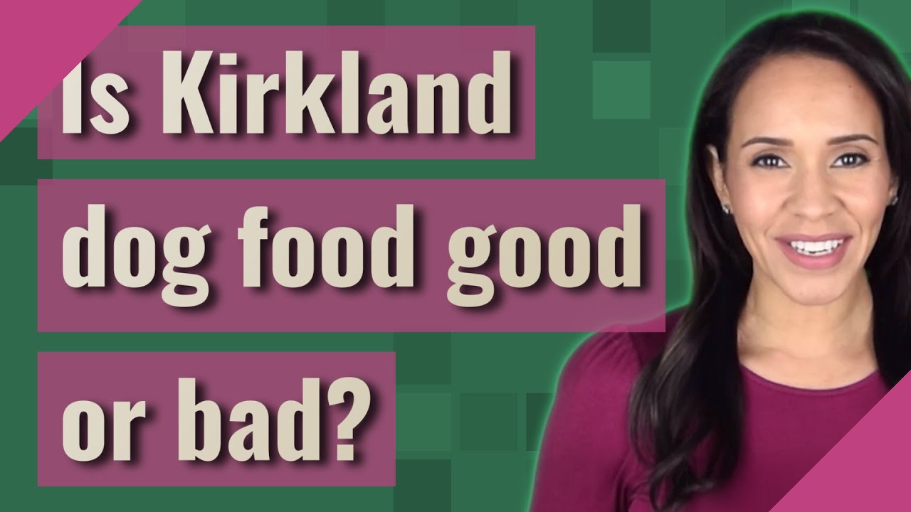 Is Kirkland dog food good or bad? YouTube