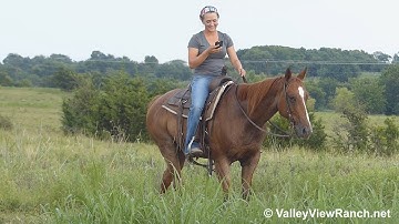 King Of The Payday - trail riding #2 - ValleyViewRanch.net