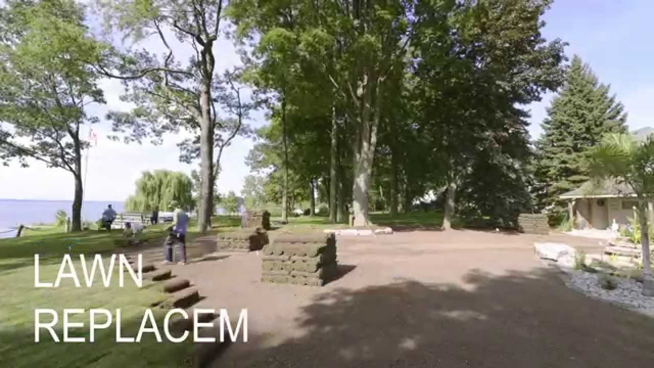 Lake Erie Property Maintenance Lawn Replacement YouTube