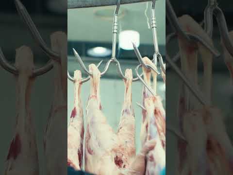 لحوم طازجة يوميا من انتاج مزرعتنا بمركز الارياف للحوم بجدة طعم وجودة وتوصيل حسب الطلب