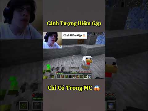 Cảnh Tượng Hiếm Gặp Chỉ Có Trong Minecraft ( Tập 13 ) 🤣 #shorts