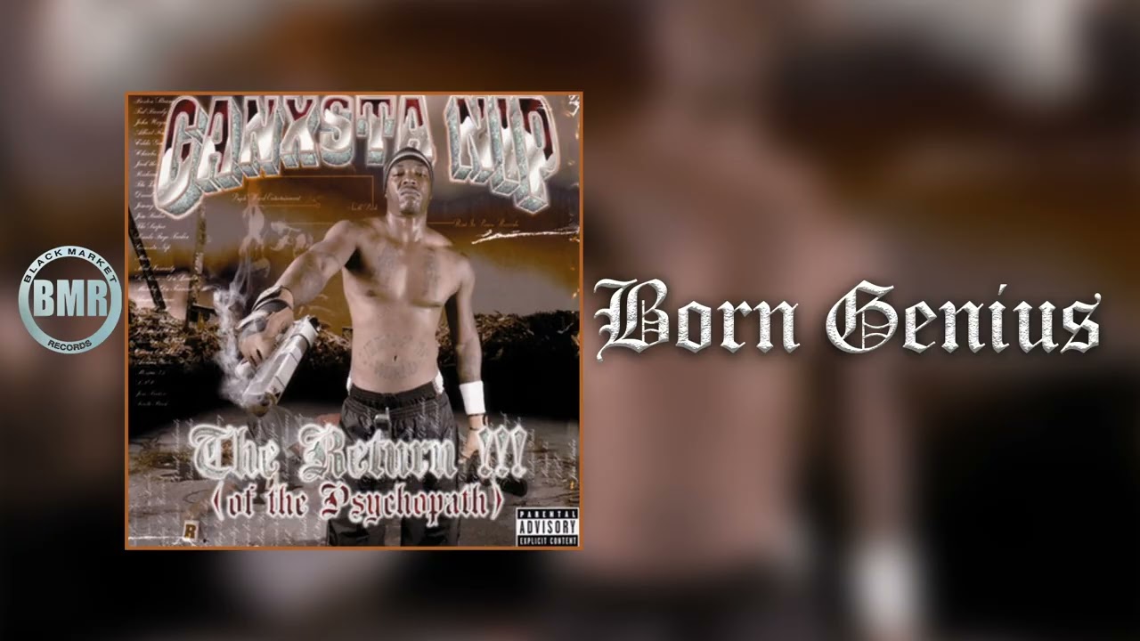 洋楽 Birth - Sinsane Rip Gangsta rap hiphop Hip-Hop Evolution