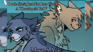 Dude She’s Just Not Into You || Warrior Cats PMV