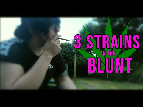 SUNSET SMOKE SESH #2