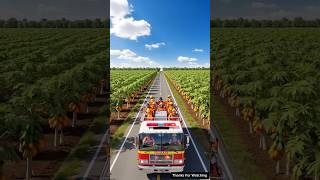 Farmers cultivate papaya but some wolves come and destroy the papaya trees 😥 #ai #viral #shorts