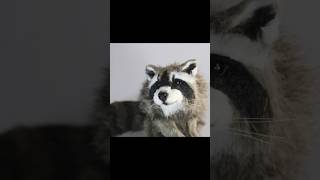 Making a realistic raccoon artdoll! #raccoon #trashpanda #artist #bjd #artdoll #artdollmaker