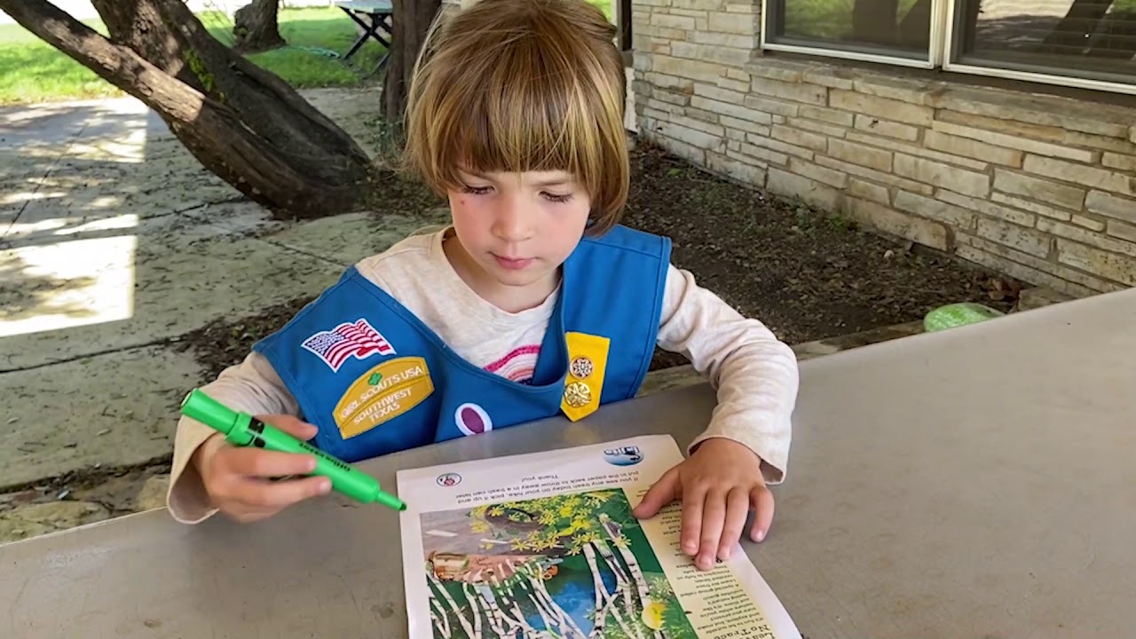 Daisy EcoLearner Badge YouTube