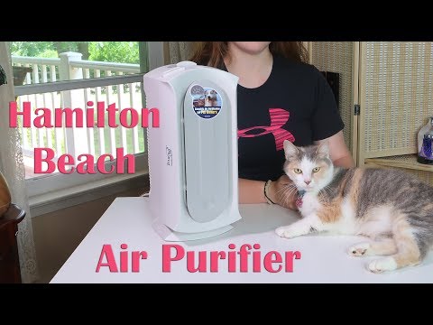 Hamilton Beach AIR PURIFIER (04384) Pet Air Cleaner - HEPA & CARBON FILTER REVIEW