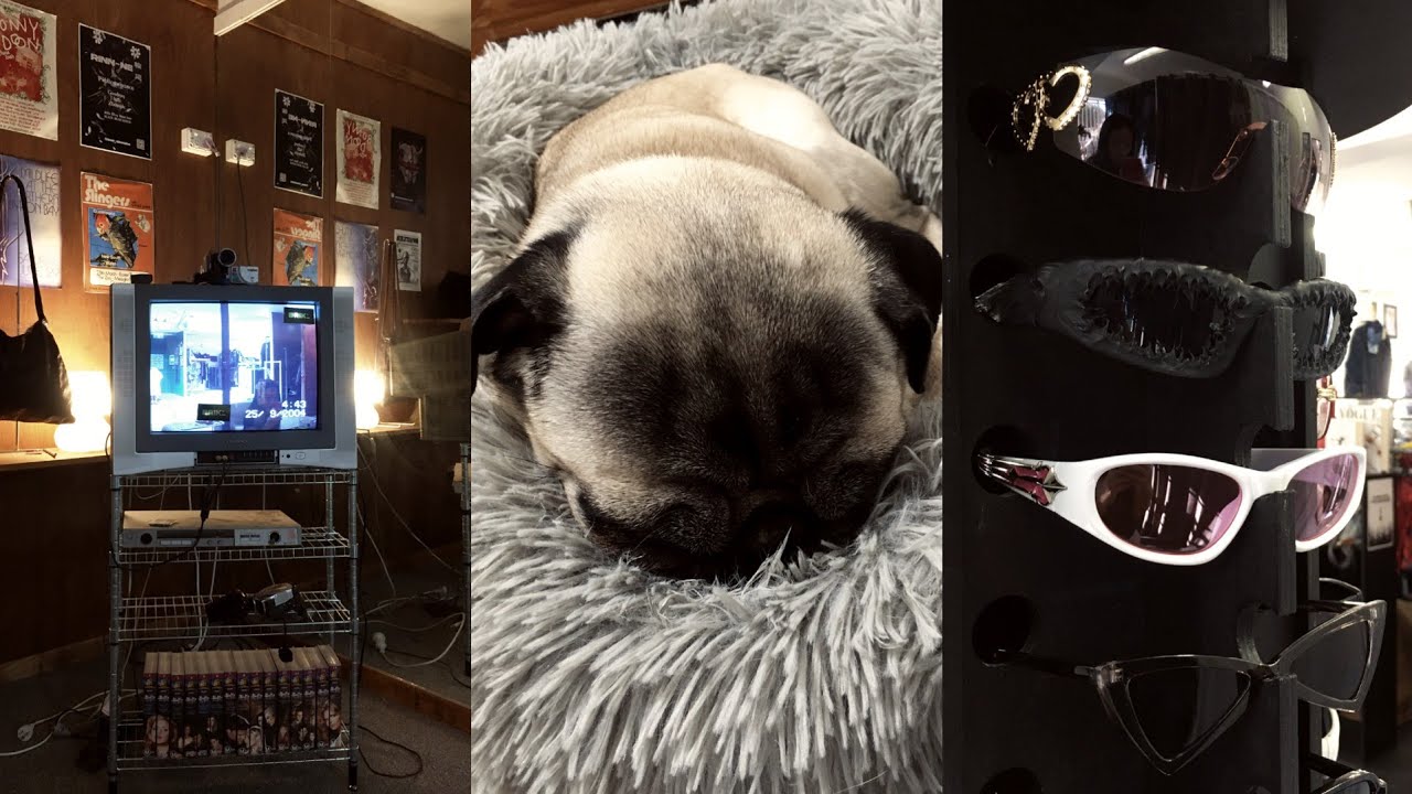 호주 일상 • 잡 구하기 은근 쉬운 거 같기도…