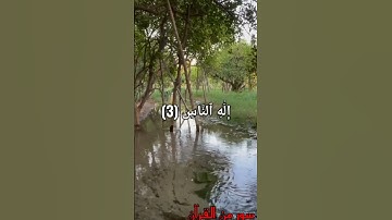 سورة الناس بصوت فضيلة الشيخ #ياسر_الدوسري #ماشاء الله