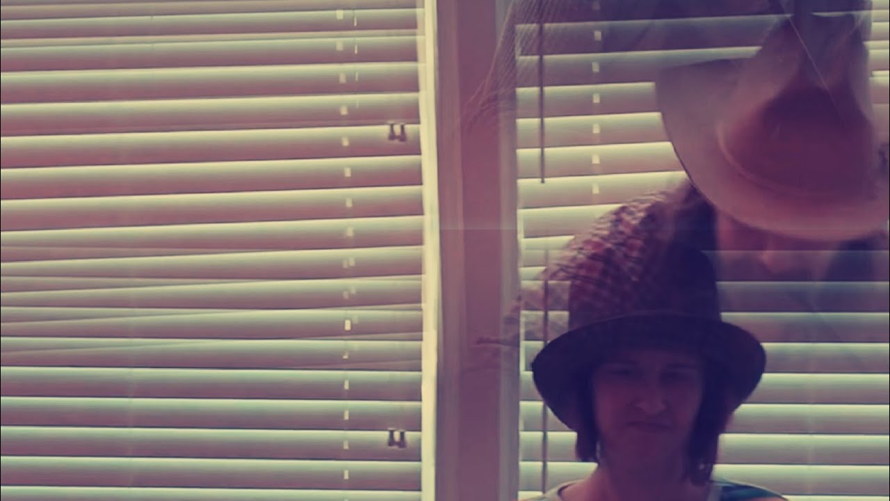 TIME KILLER - Rachel Bachman and the Better News Bears