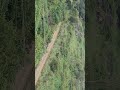Thanikalpara #nature #ecotourism #shortvideo #shortsviral #travel