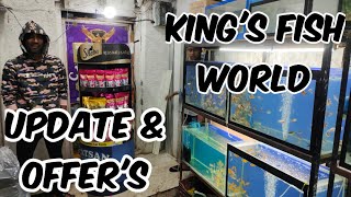 best aquarium shop in Hyderabad | offer fishes available in king's fish world hari bowli X road