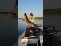 MEAN THICK PB #massive #musky #nature #fishing #fish #