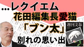 花田編集長の愛猫「ブン太」(逝去)が『週刊文春』の表紙に...｜#花田紀凱 #月刊Hanada #花田編集長の週刊誌欠席裁判