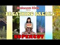 🌈  BREATHING BREAK SUPERCUT! | Season 1 breathing breaks all in one episode | all the GOOD VIIIBES!