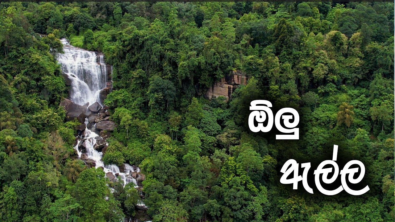 ඕලු ඇල්ල / sri lanka