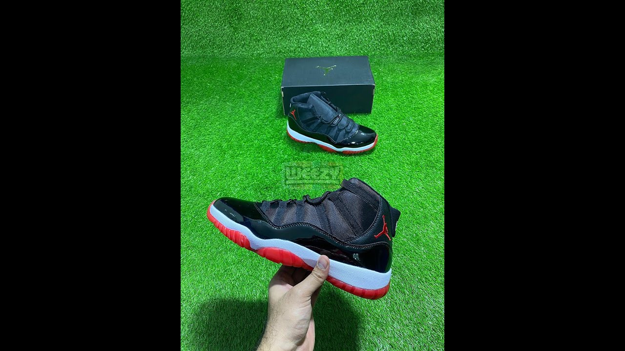 bred 11 for sale