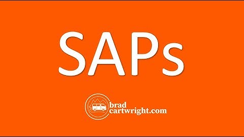 What are Structural Adjustment Policies? (SAPs) | Development | The Global Economy | IB Exam Review