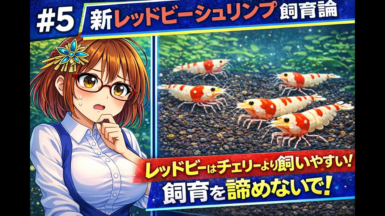 #05 新レッドビーシュリンプ飼育論 レッドビーはチェリーより飼いやすい。飼育を諦めないで!