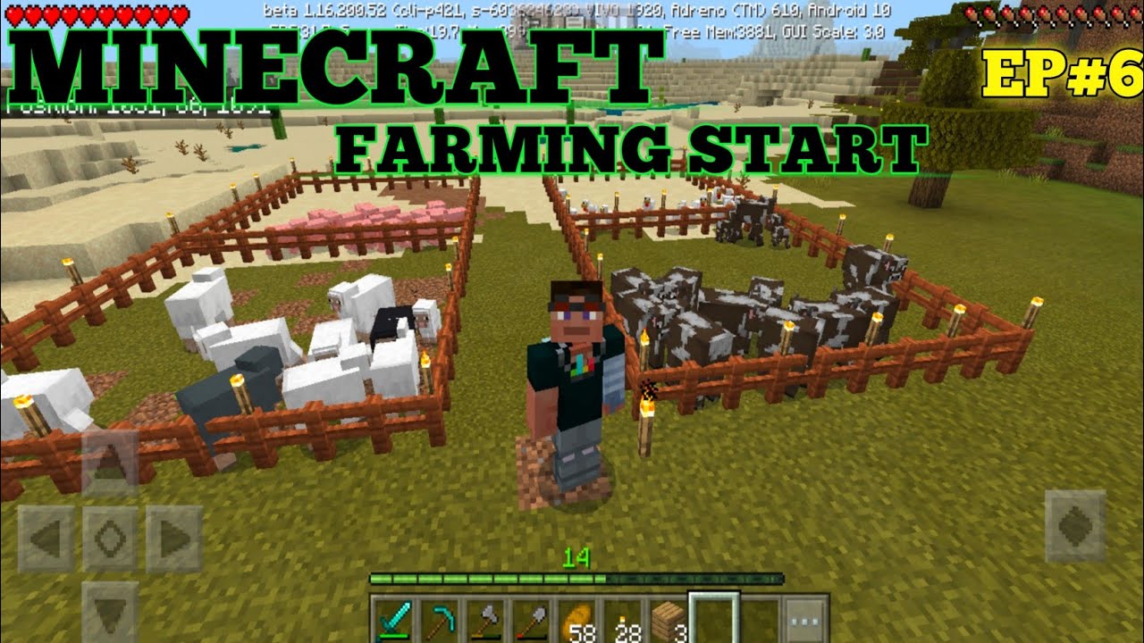 START FARMING AND DIAMOND TOOLS | GAMEPLAY SURVIVAL SERIES #6 - YouTube