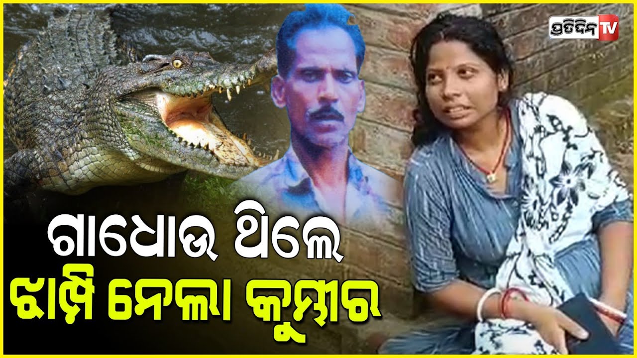 କେନ୍ଦ୍ରାପଡ଼ାରେ ଗାଧୋଇବାକୁ ଯାଇଥିବା ସନାତନକୁ ଟାଣିନେଲା କୁମ୍ଭୀର l Kendrapara