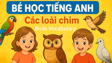 Bé học tiếng Anh qua các loài chim 🐦 | Birds Vocabulary cho trẻ em