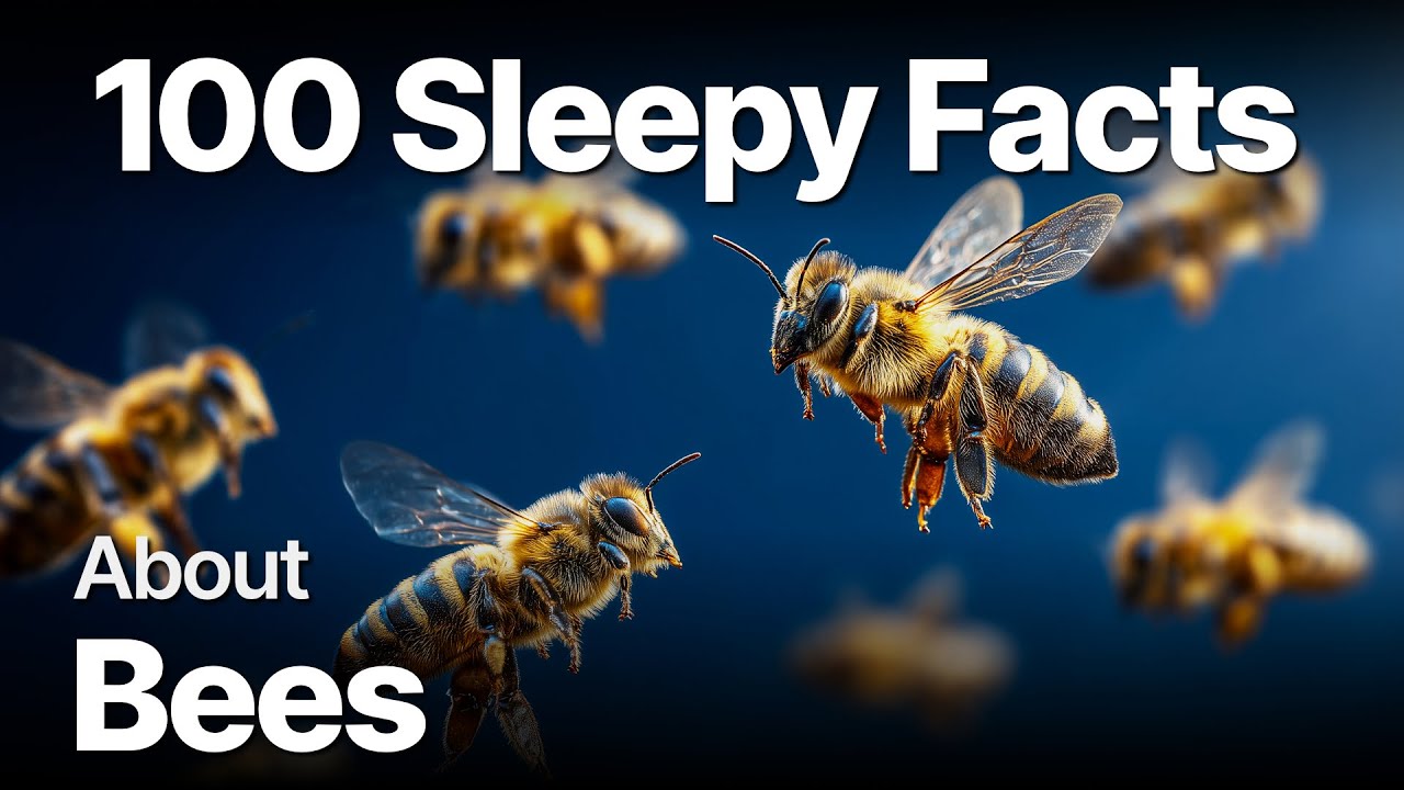 The Most Relaxing Facts About Bees to Fall Asleep To