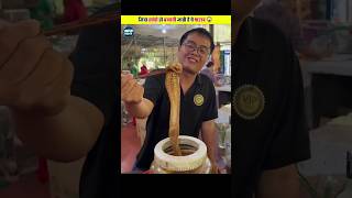 जिंदा सांपो से बनती है ये शराब ? | Would You Drink This Snake Wine ??? | shorts trending viral