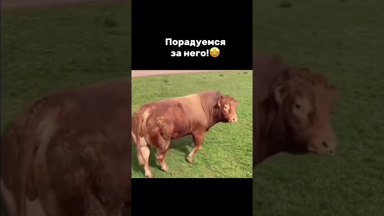 Всем хороших выходных 😁 Анекдот в тему 👇