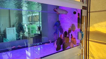 Paisan โครงการ 3 - เปลี่ยนสติกเกอร์ตู้ 72" + Overflow FS ตู้ 96" กรองข้าง 2 ชั้น Set 1