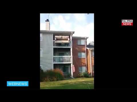 ავეჯის გადაზიდვის უცნაური ხერხი