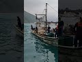 Taiwan's Hidden Gem Discover the Secret Dockside Fish Market Where Everything is Caught Fresh! 🇹🇼�